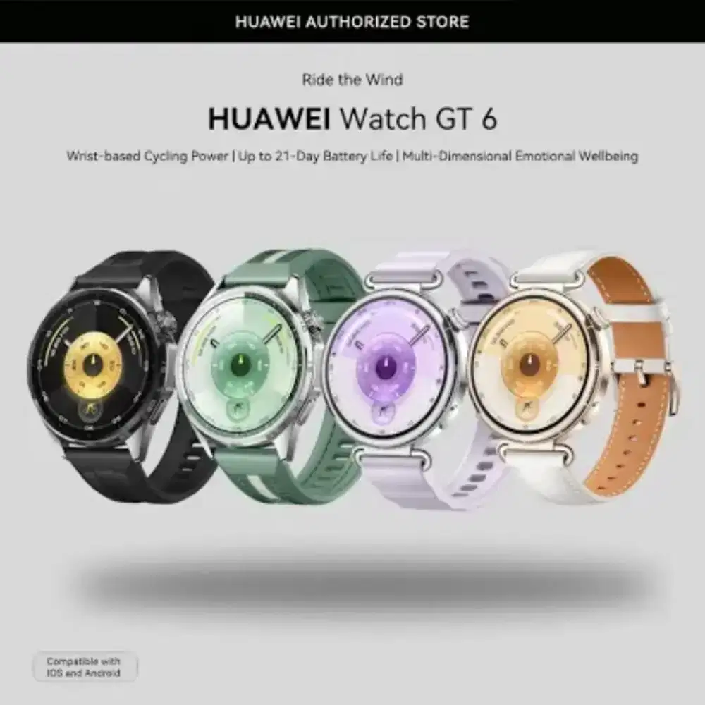 Huawei Watch GT6