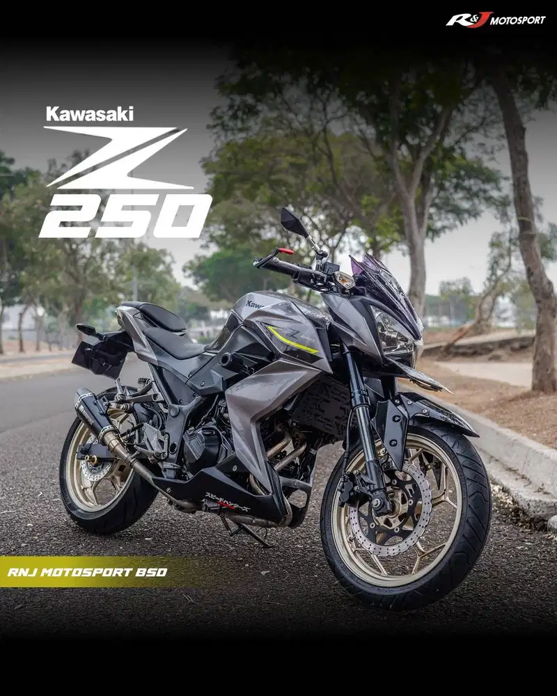 Kawasaki Z250 Z 250 Ninja 250 Fi Nik 2017 Warna Grey