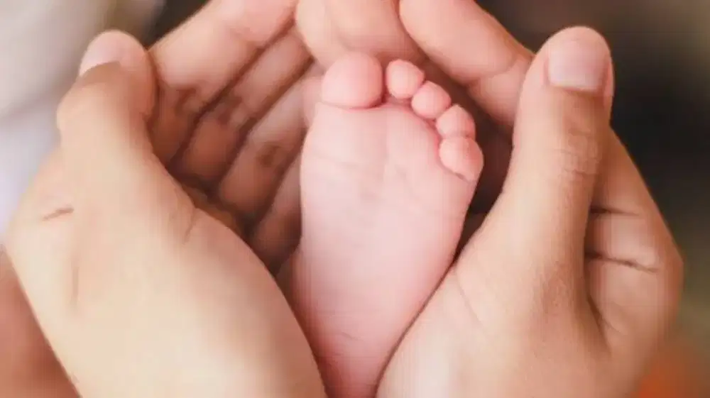 Lowongan Kerja Baby Sitter