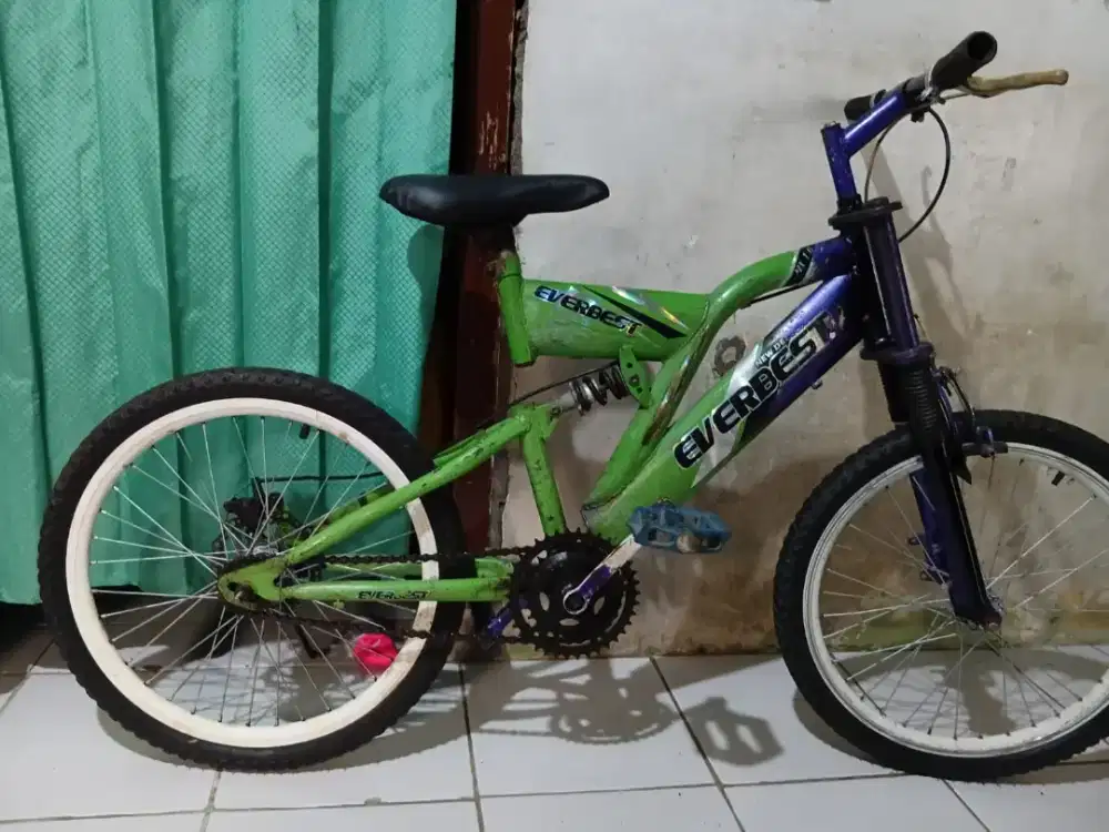 Sepeda 20 Everbest