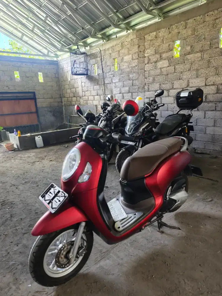SCOOPY RED 2023