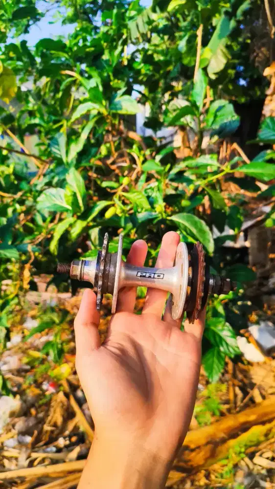 Hub doltrap 17T