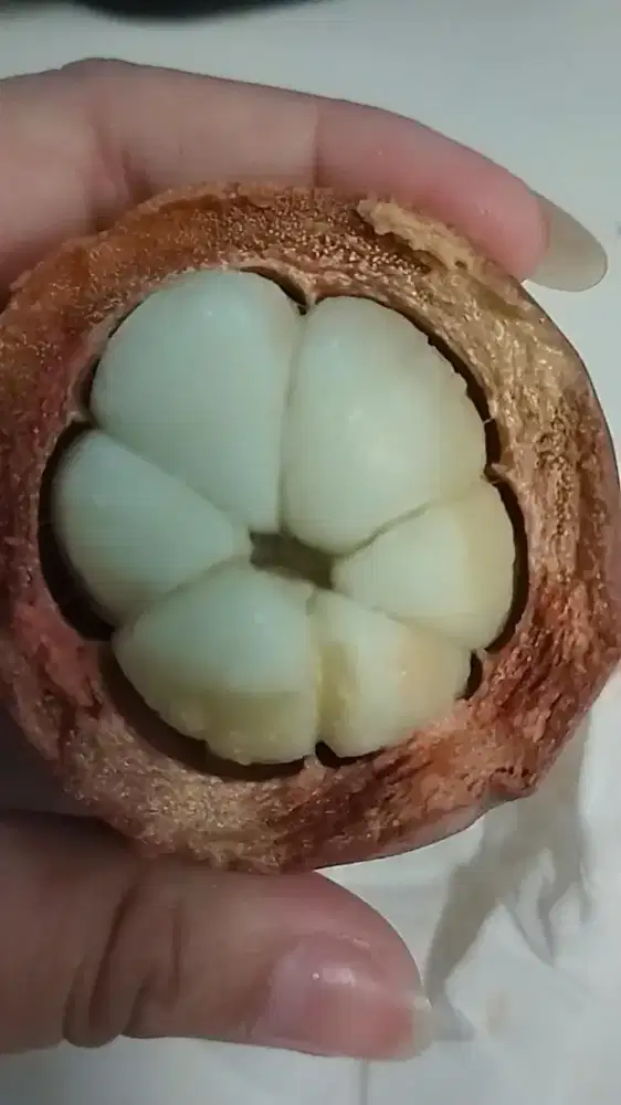 DI CARI OJEK BULANAN