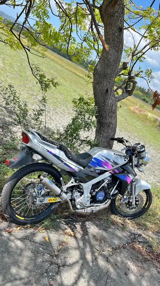 Ninja asli ss 2010