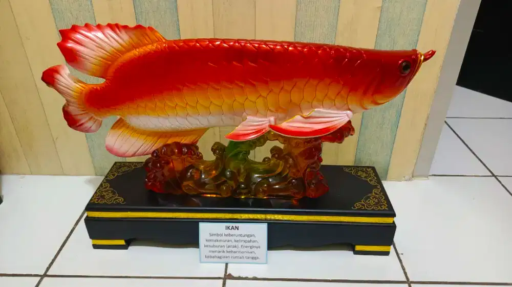 Di Jual Ikan Hias