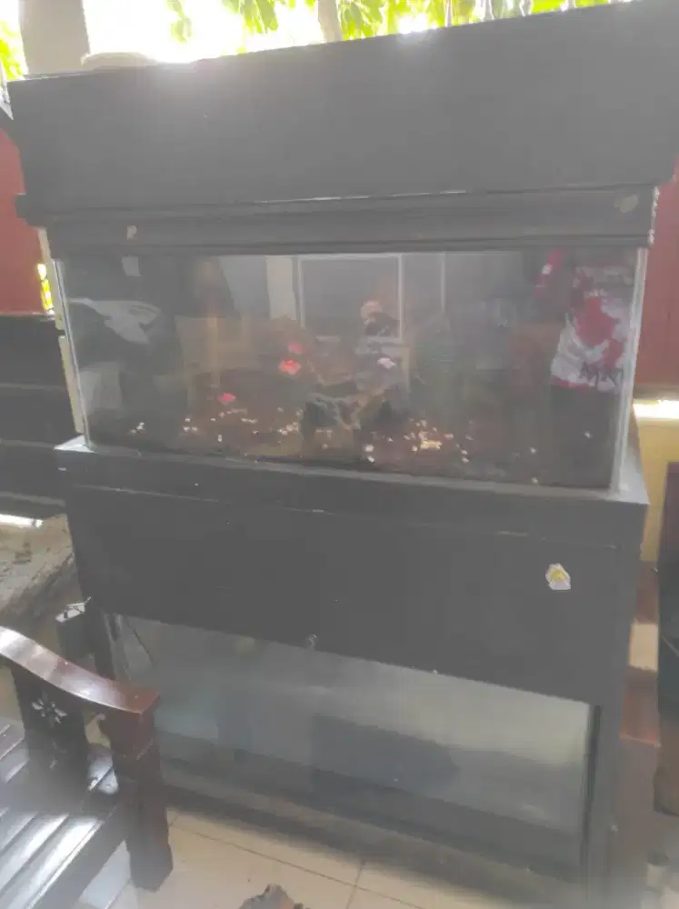 Aquarium jumbo : 110x60x53cm
Tebal kaca : 8mm
Tebal kaca bawah : 10mm