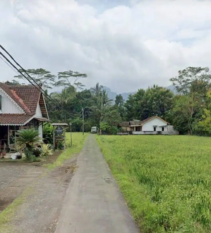 DIJUAL TANAH SAWAH – VIEW SAWAH & PEGUNUNGAN DI BOROBUDUR