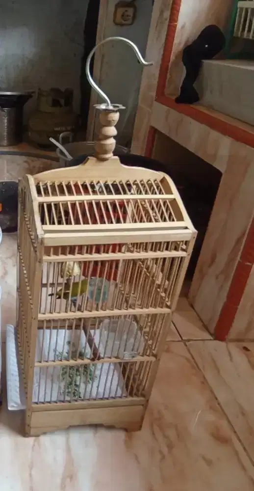 Kandang kecil buat burung kecil