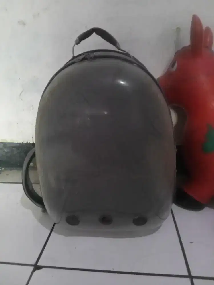 Jual koper merek polo, dan tas gendongan kucing
