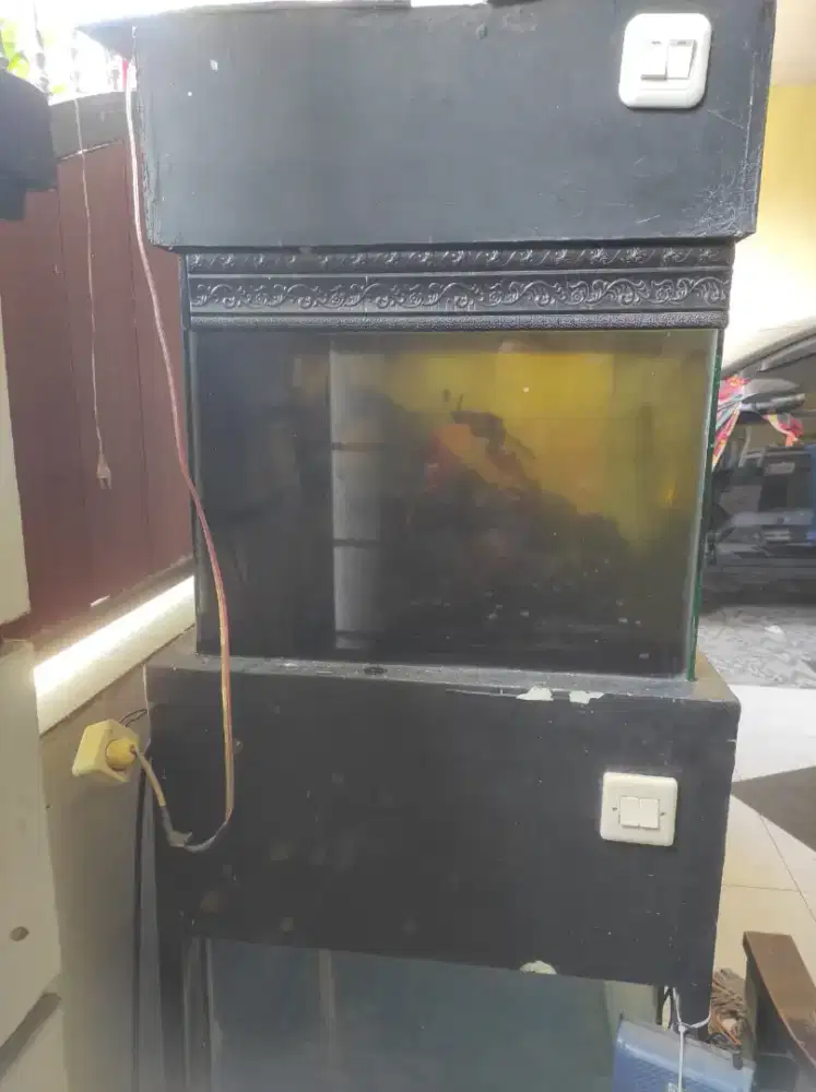 Aquarium 2 jumbo