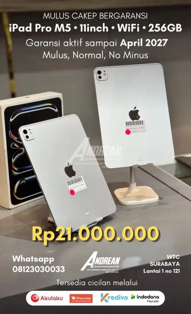 ipad pro M5 11inc 256gb wifi only