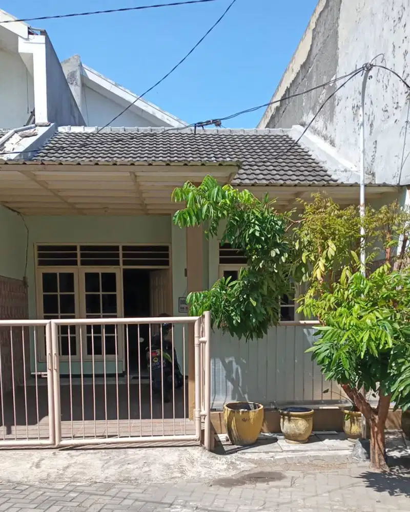 Disewakan Rumah di Sepanjang Town House Baru Renov