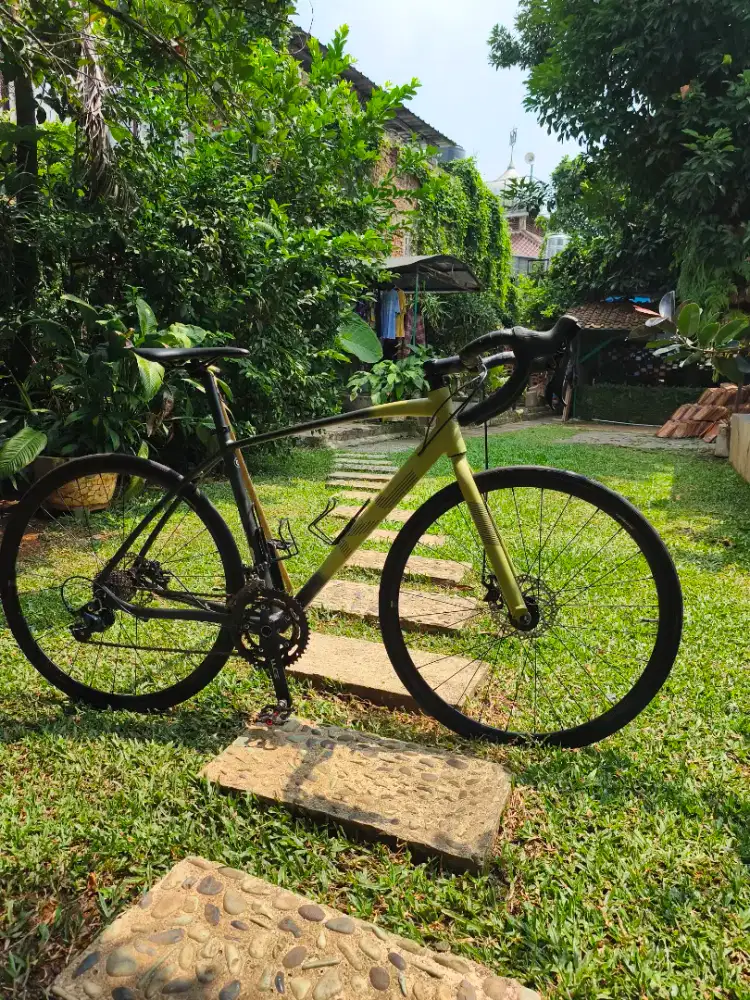 Road Bike murah FRC 50 element