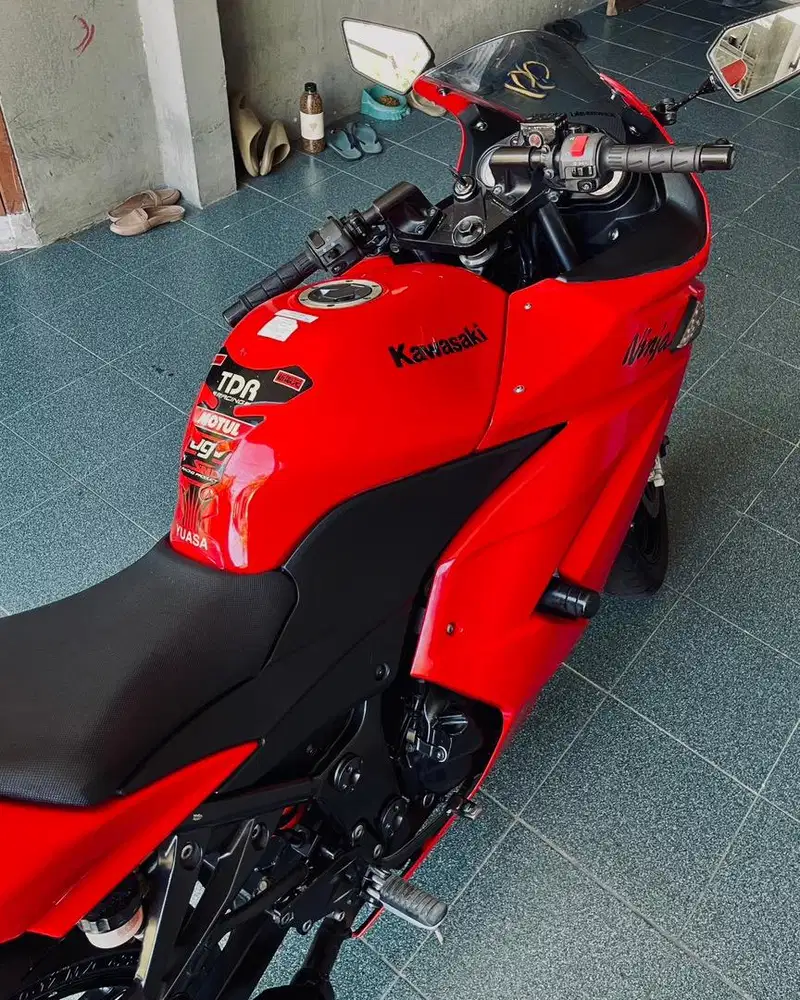 Kawasaki Ninja 250 Karbu