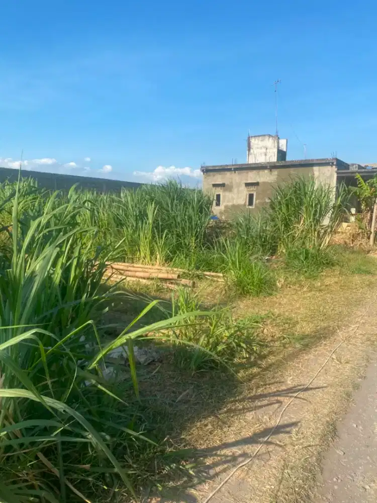Dijual tanah kavling SHM area Kampung Inggris