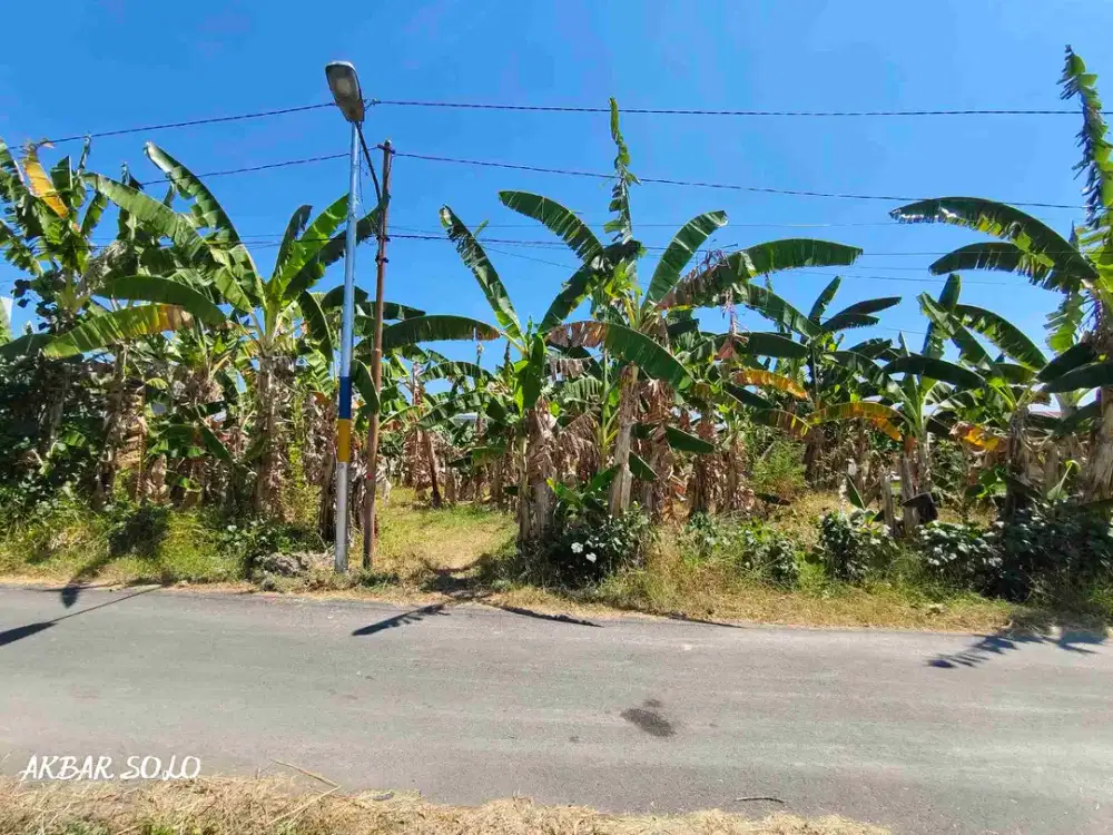tanah murah karangasem Laweyan solo dekat kampus atau dan ums