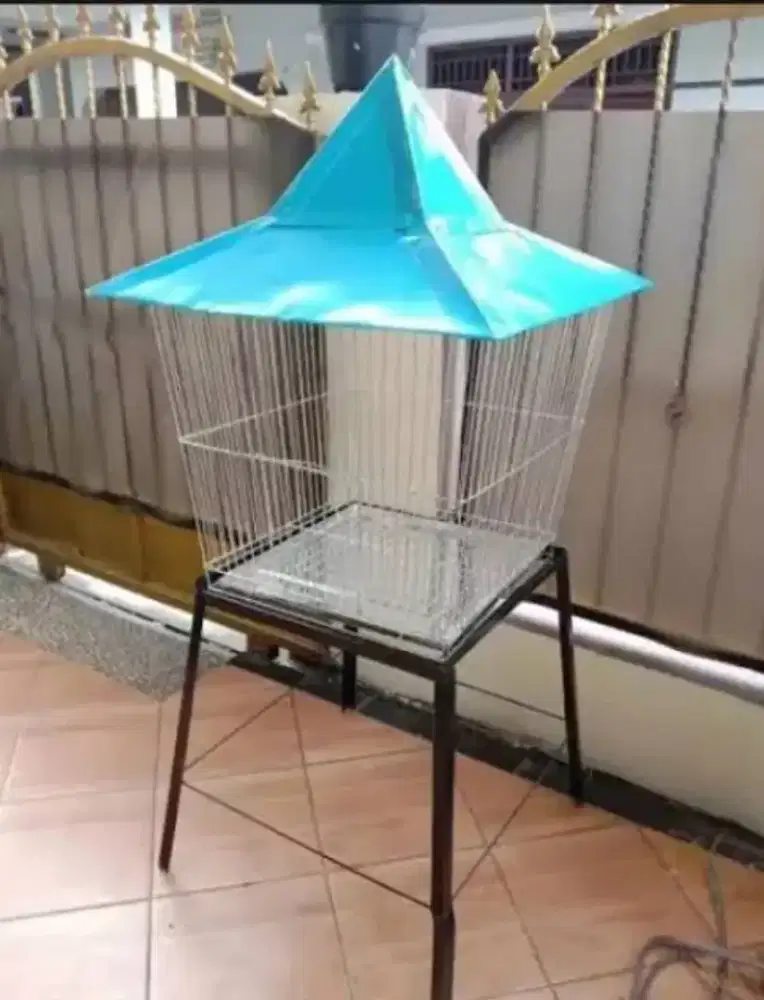 FULLSET BURUNG BEO PLUS KANDANG