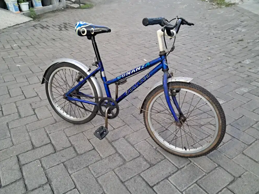 Polygon Insera Vintage