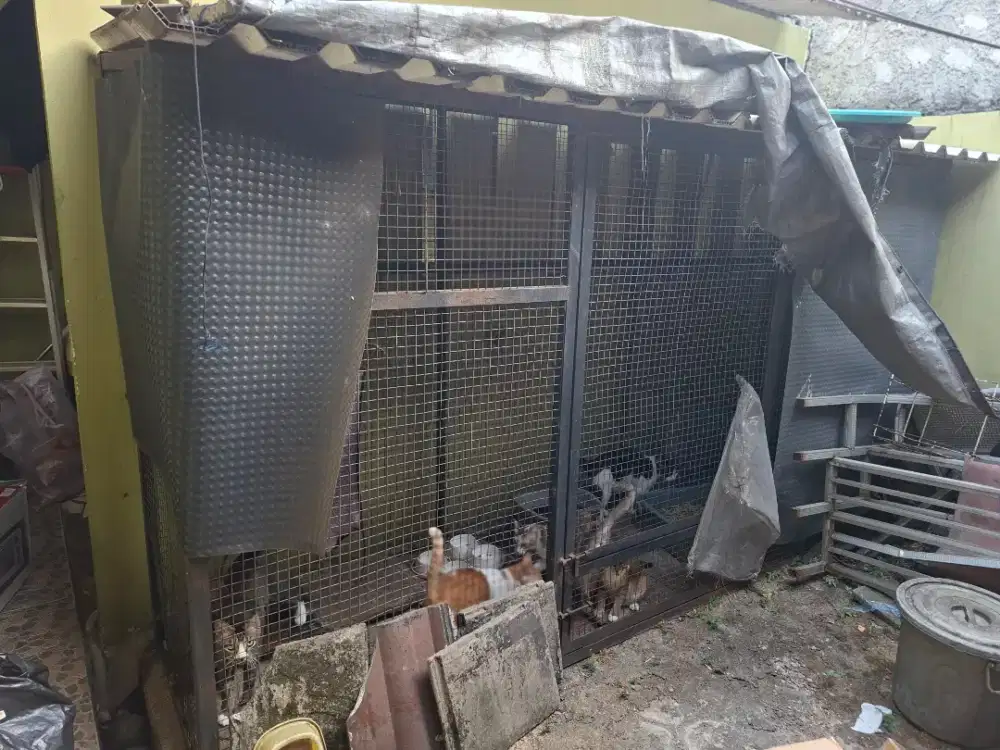 Kandang Besi Jumbo