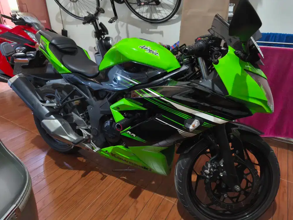 Ninja 250SL (mono) istimewa