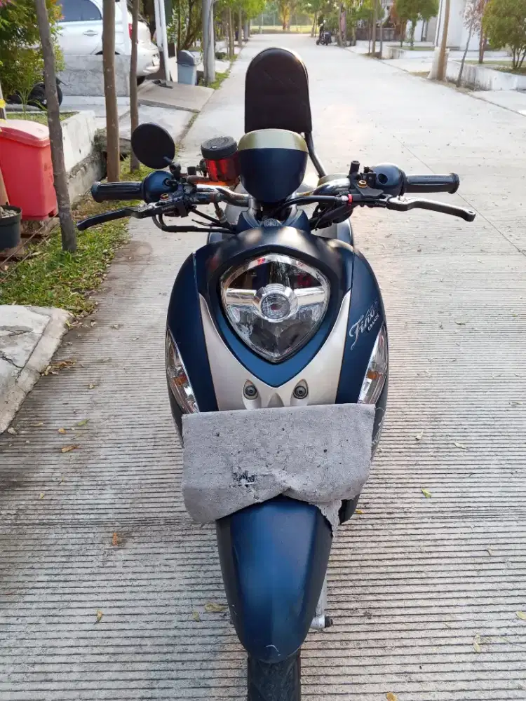 For sale Fino 2017