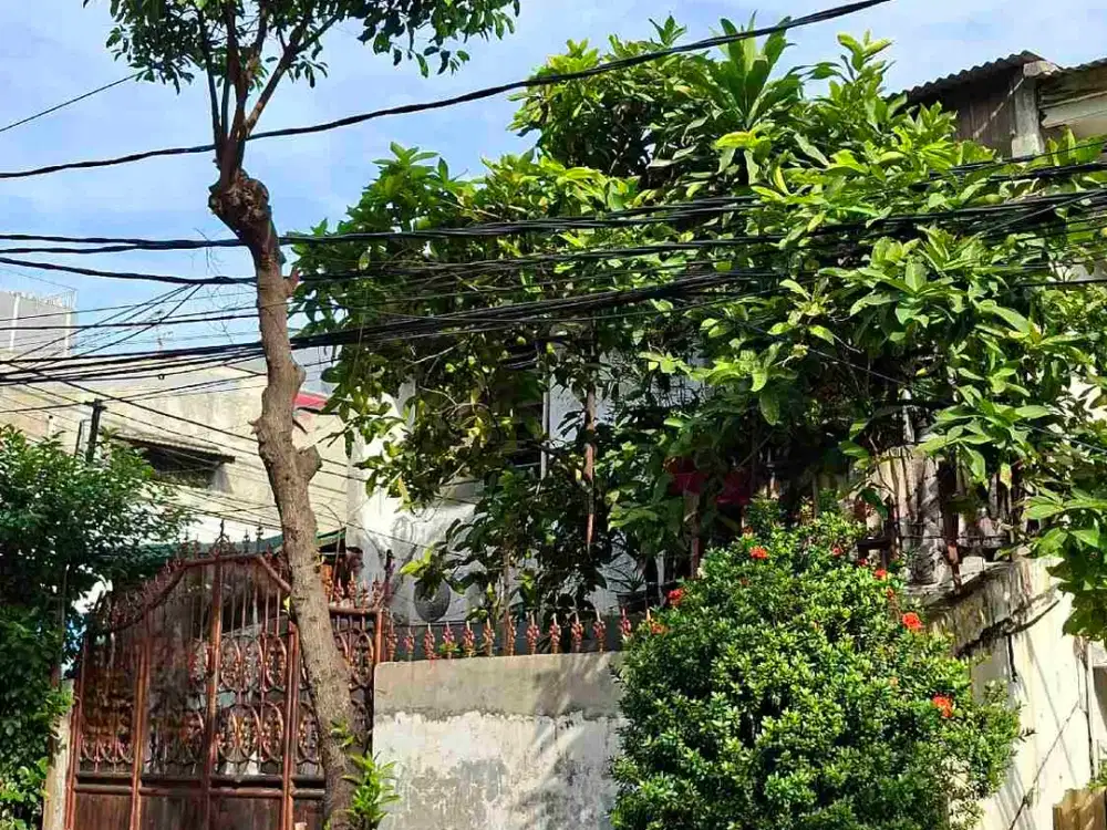 DIJUAL CEPAT – Rumah Klasik yang Teduh & Nyaman di Pademangan 2, Jakarta Utara.