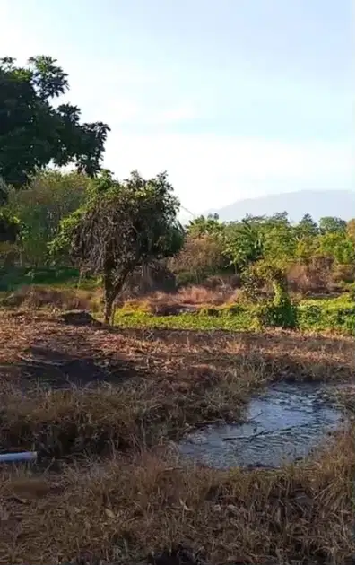 Tanah di jual daerah kurung Kejayan