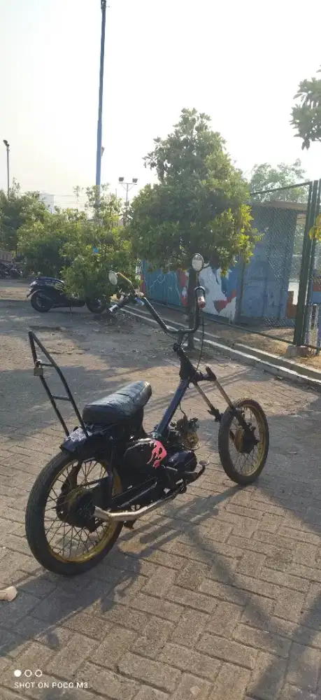 choppy cub astrea