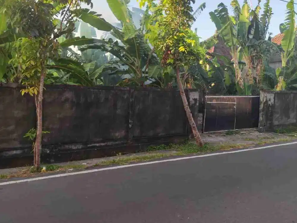 Tanah batanghari renon