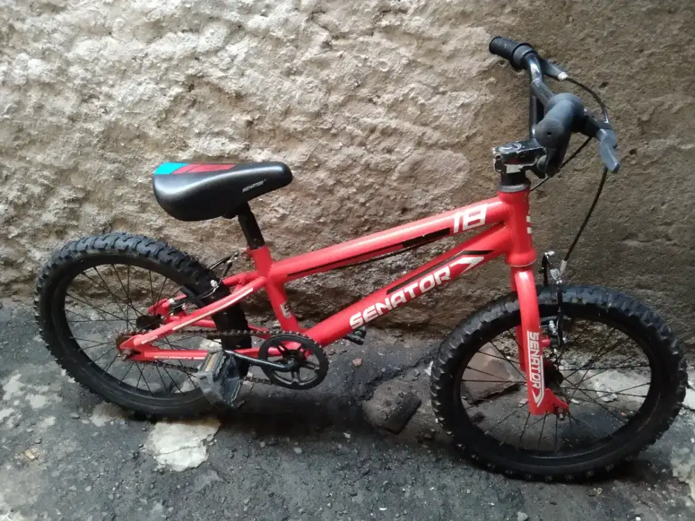 Sepeda BMX senator speedtrap 18