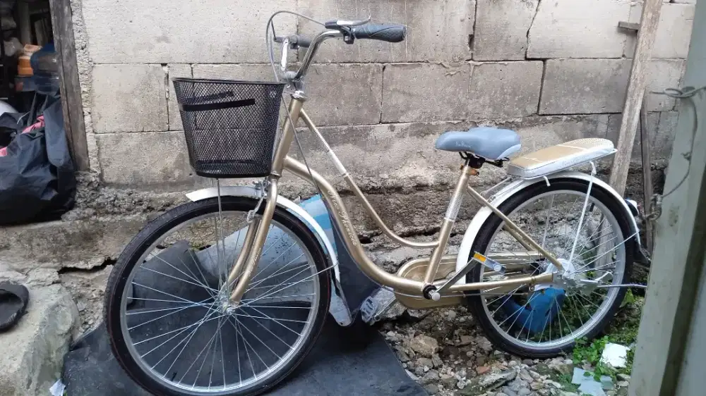 Sepeda New Phonicia 24 Inch - Baru Pakai 1× - Rp.750.000 Nego