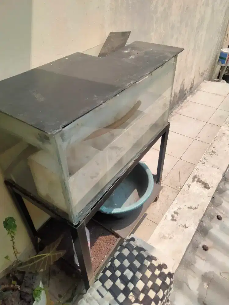 Aquarium bekas lengkap tinggal pakai
