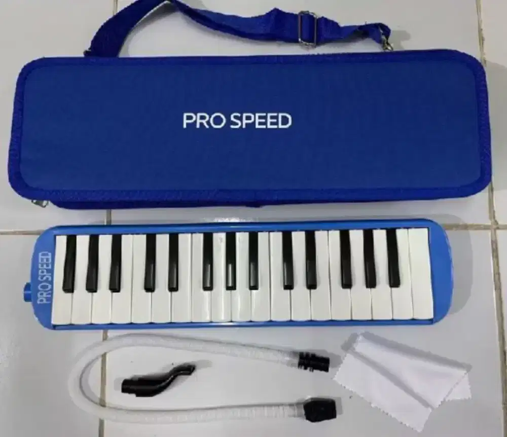 Alat musik untuk sekolah Pianika