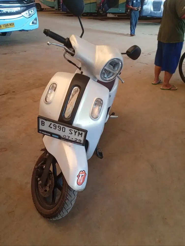 Fazzio 2024 mulus