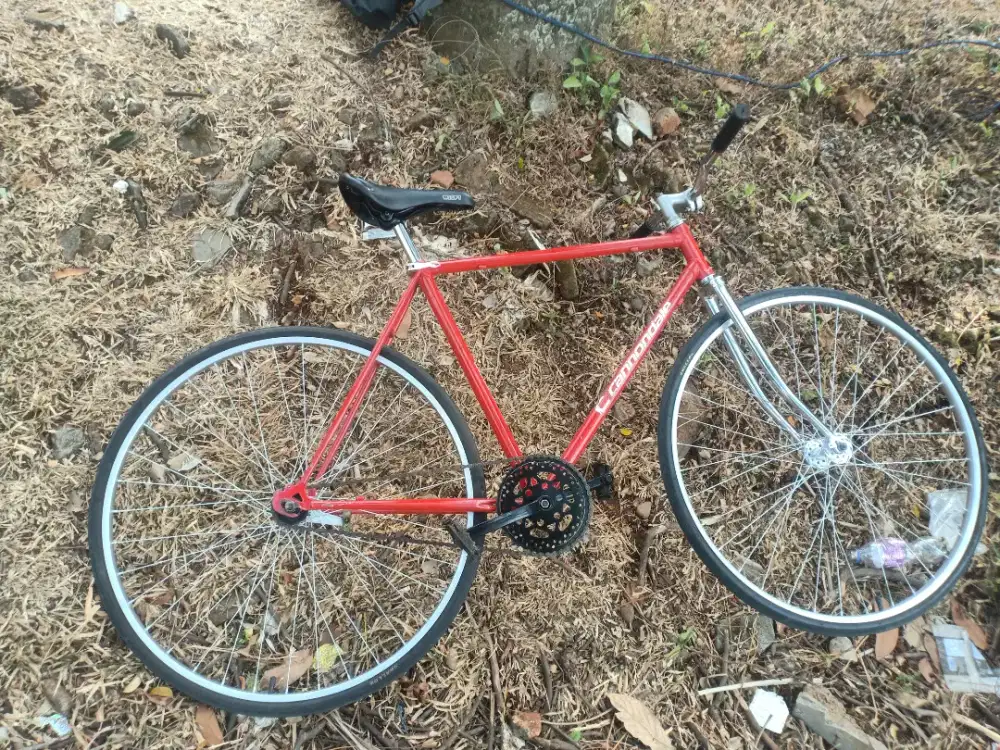 Sepeda fixie Torpedo