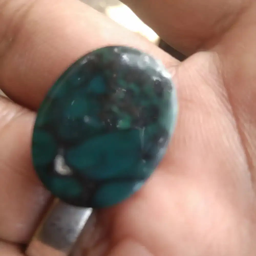 Bacan Doko klimis