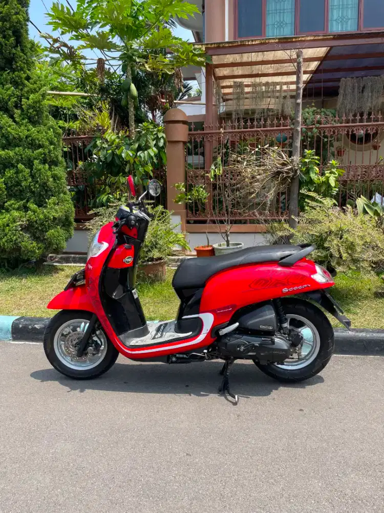 SCOOPY DONAT 2017