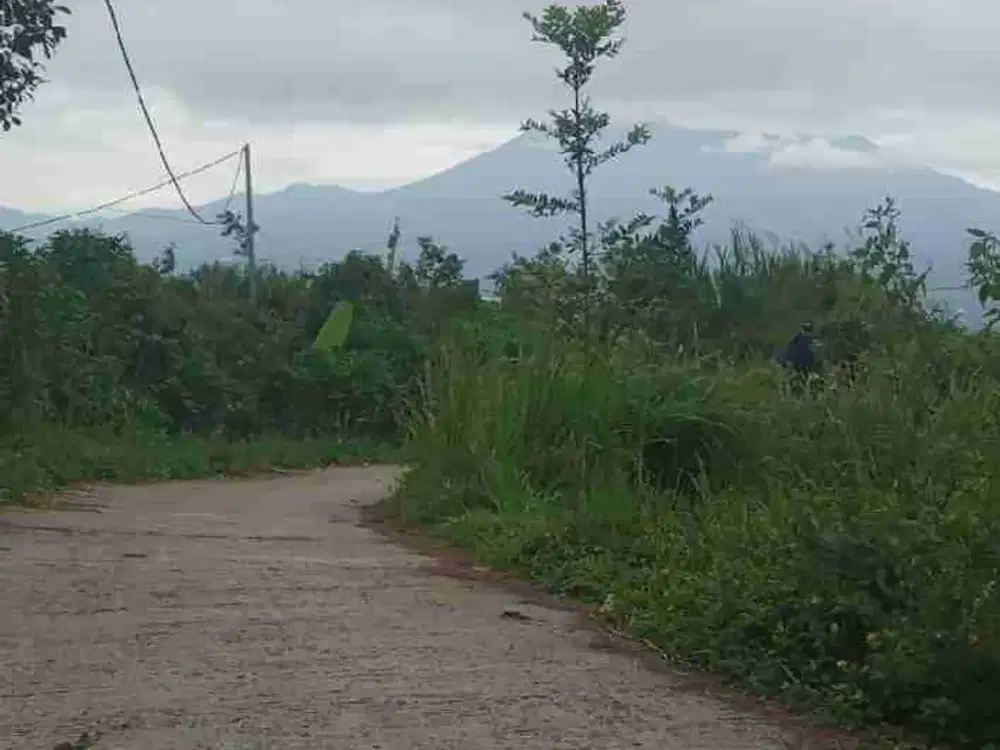 Tanah Di cigombong ciburayut bogor selatan Di jual Cepat