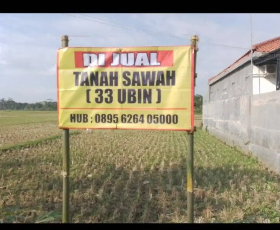 Tanah Sawah 33 Ubin Gombong Kebumen - Nempel Jalan Aspal