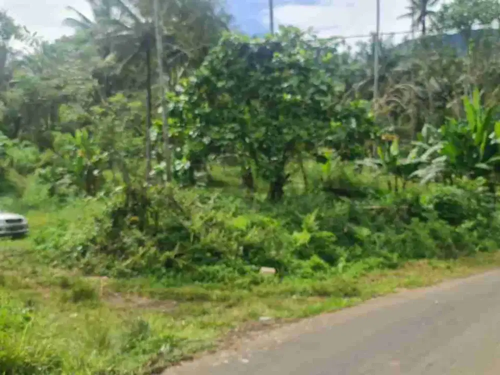 DIJUAL CEPAT TANAH STRATEGIS DAERAH KOHA, HARGA SANGAT MURAH