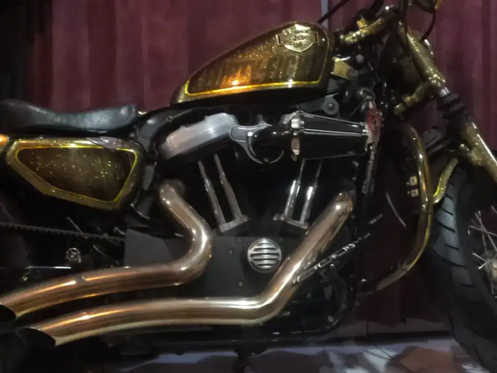 Harley sportster fourth eight 2013. 1200 XL