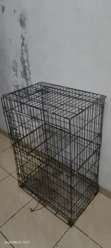 Kandang kucing jumbo
