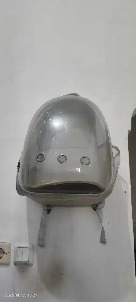 Tas kucing besar
