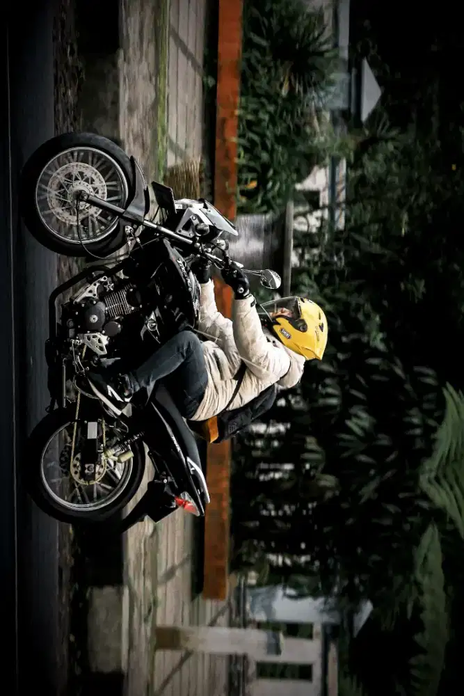 Tiger revo istimewa