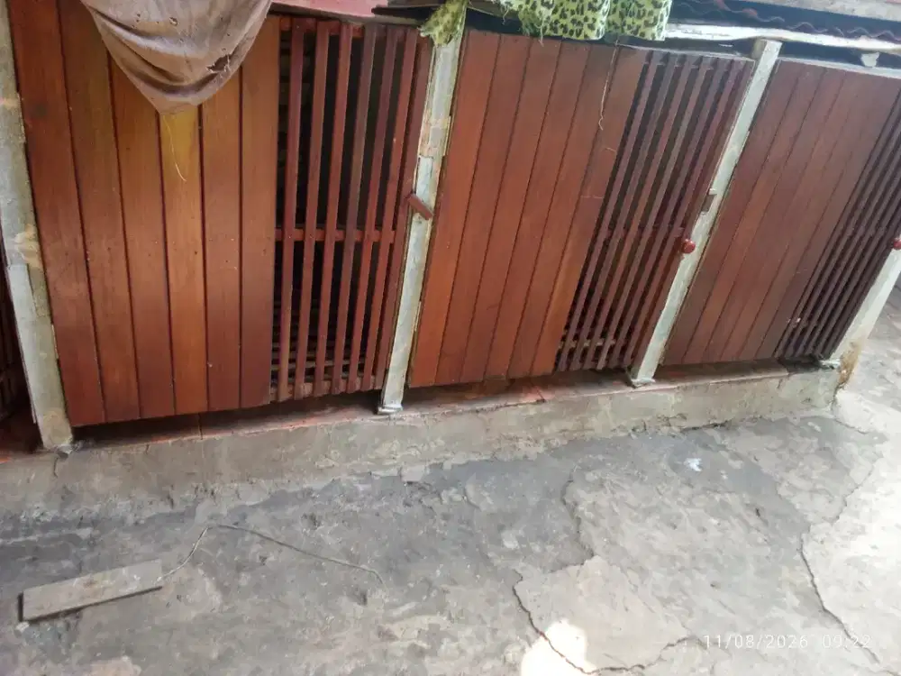 Kandang ayam kokoh