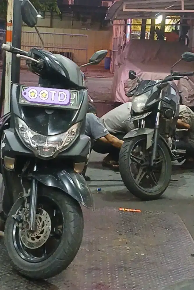 Freego STD 2019