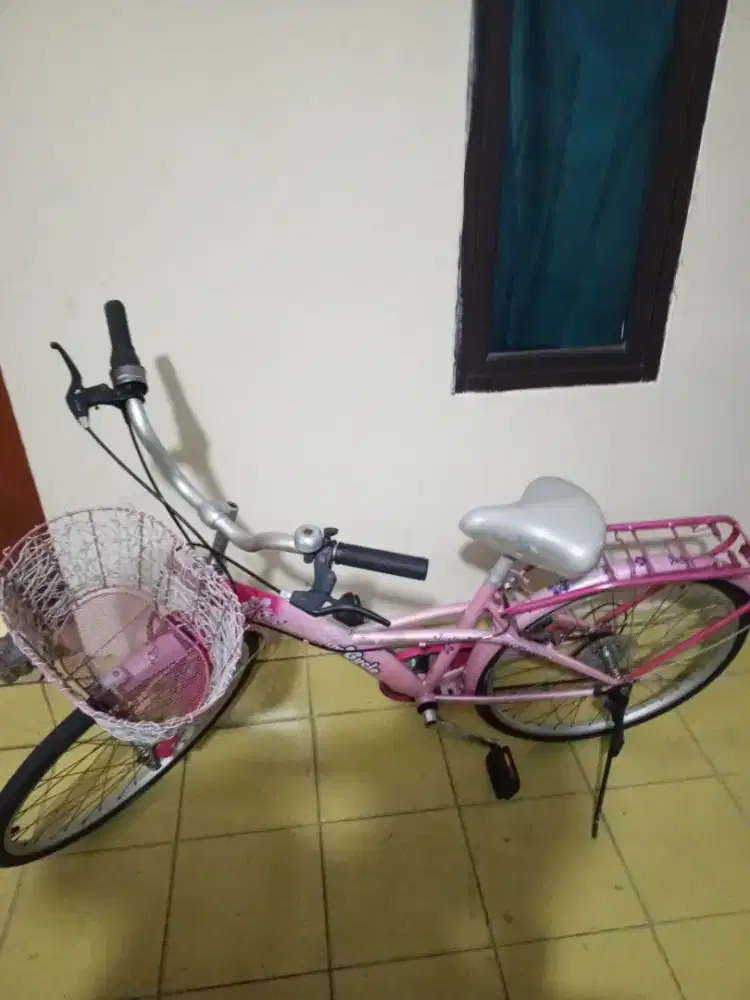 Sepeda Keranjang 24 inch
