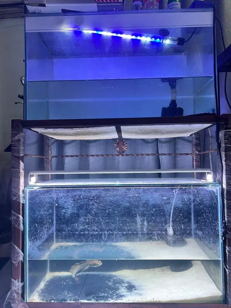 Rak aquarium fullset