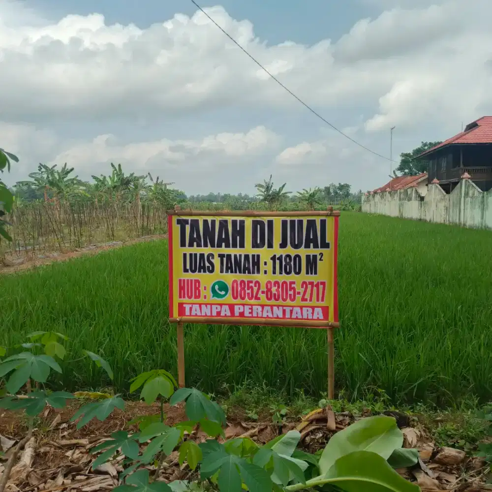Dijual tanah sawah
