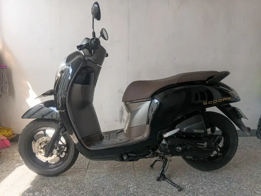 Scoopy donut 2020